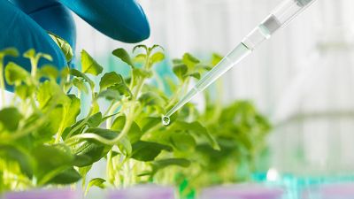 欢迎访问新绿生物科技有限公司！